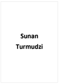 Image of Terjemah Sunan Turmudzi